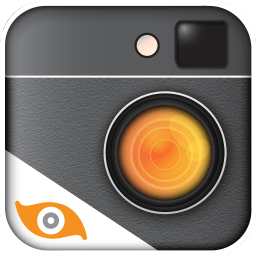 ACDsee Pro